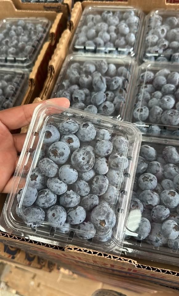 Blueberries - Image 3