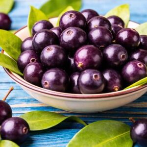 100% Natural Organic Açai Pulp