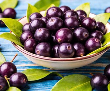 100% Natural Organic Açai Pulp