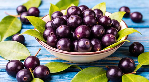 100% Natural Organic Açai Pulp